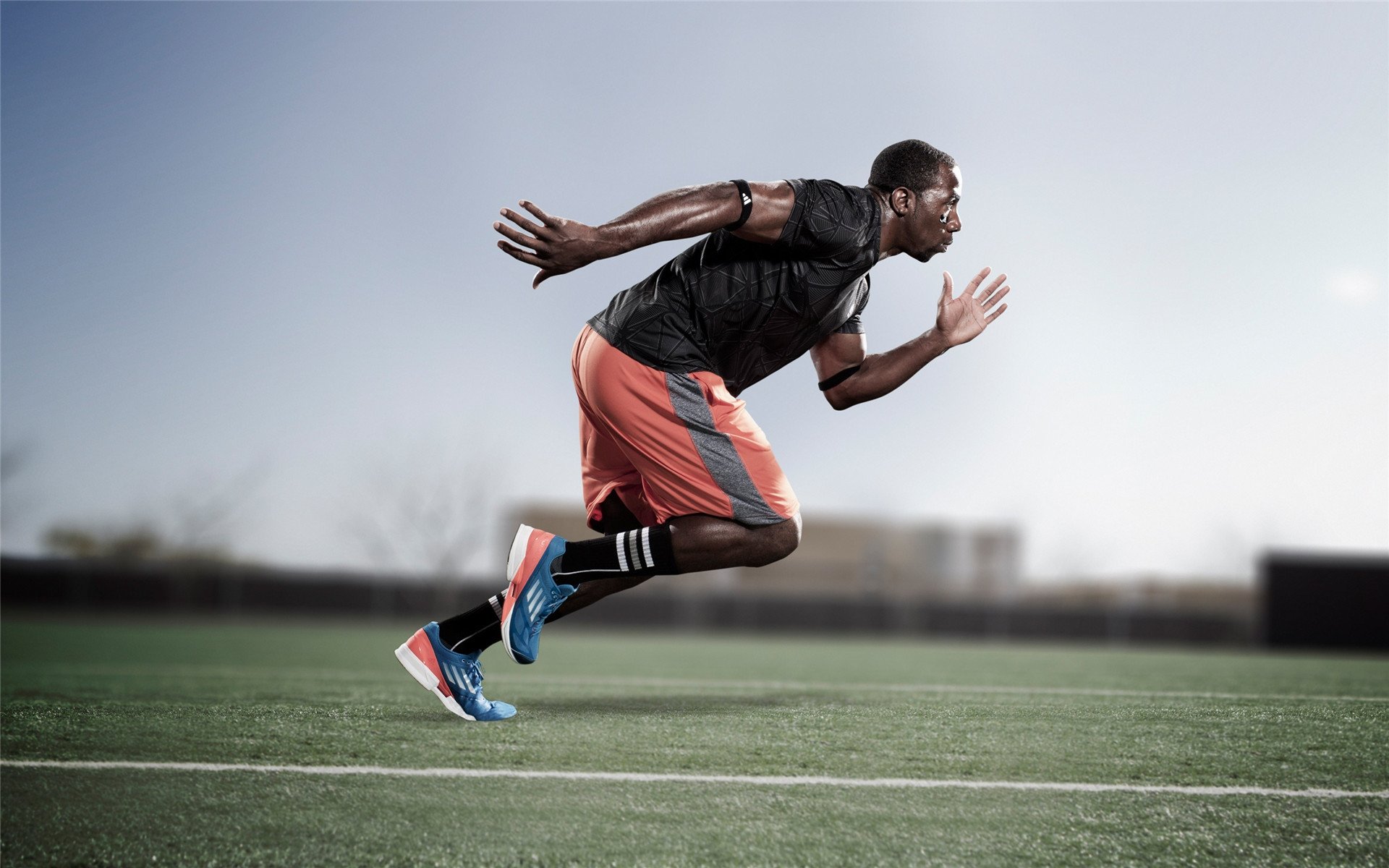 林丹参观母校新体育馆赞叹设施完善，林丹体育公司