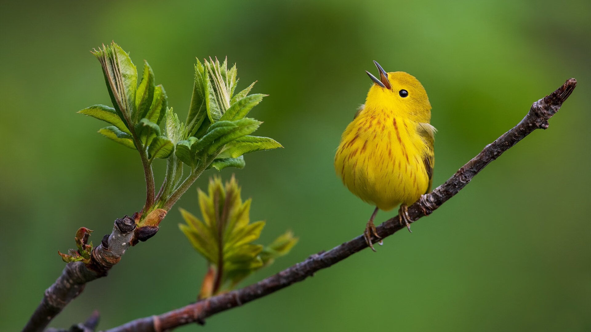 九游游戏中心下载-中国篮球学习交流团访问海外知名篮球学院，中国篮球留美