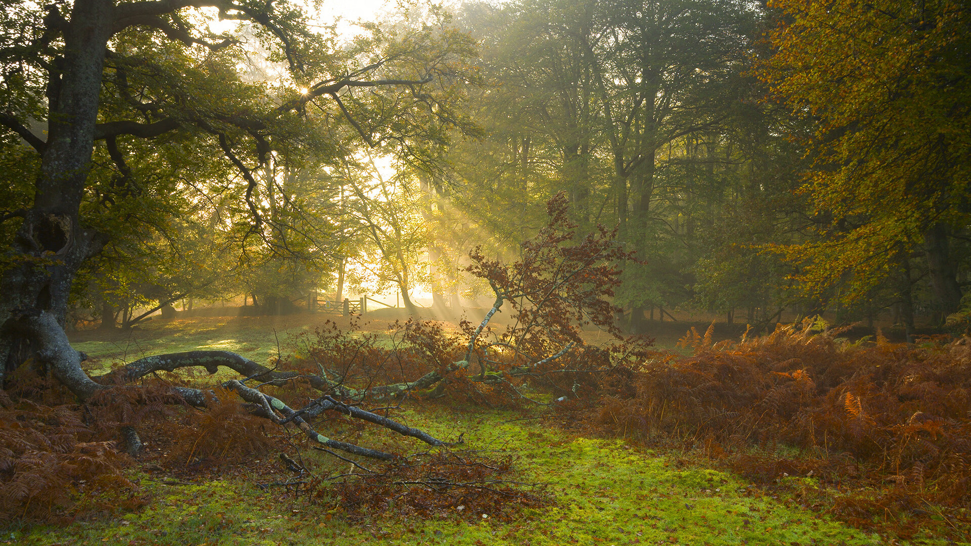 九游游戏中心-日本男足全情投入，赢得喝彩！，日本男足怎么样
